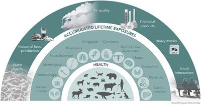 Beyond Zoonoses in One Health: Non-communicable Diseases Across the Animal Kingdom